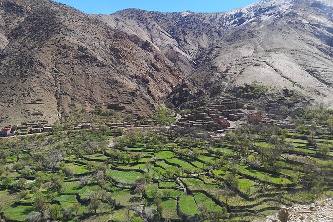 Excursion to The Atlas Mountain from Marrakech - Stop for villages and waterfalls: moving from tea time to walking time