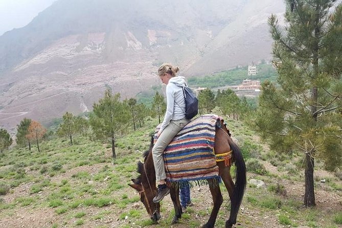 Excursion to The Atlas Mountain from Marrakech - Camel ride near Moulay Brahim: short, scenic, and practical