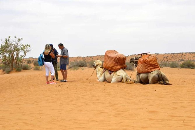 Excursion to the little Sahara, visit Tiznit, Tifnit, & Massa. - Key things to know before you go