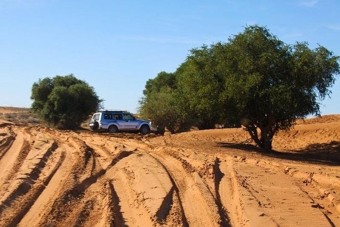 Excursion to the little Sahara, visit Tiznit, Tifnit, & Massa. - Southbound from Agadir: Oued Souss birds and the Anti-Atlas approach