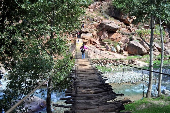 Excursion to the Ourika Valley - Private Driver Pickup: Marrakech to the Atlas in One Easy Push