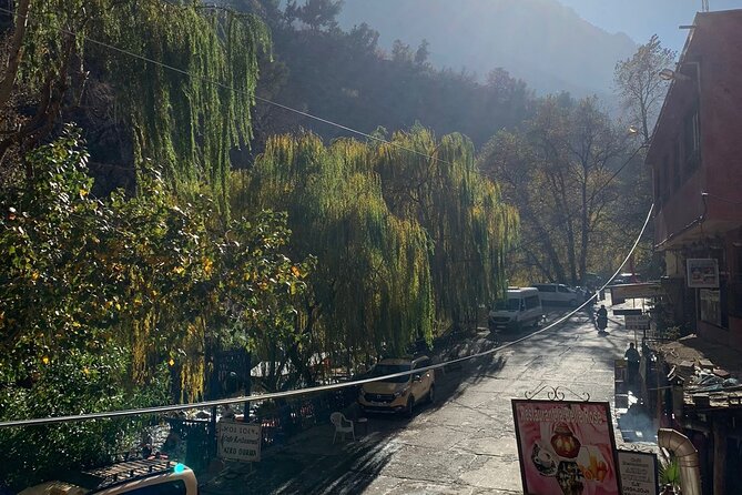 Excursion to the Ourika Valley - Should You Book This Ourika Valley Excursion?