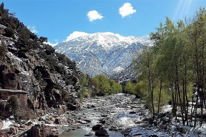 Excursion to the Ourika Valley and Berber villages - Who this tour is best for (and who might want a different day)