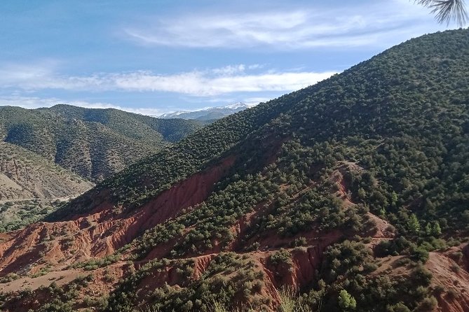 Excursion to the Ourika valleys from Marrakech - Stop 1 in Ourika: farmland views and village atmosphere