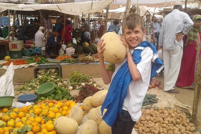 Excursion to the valley of ourika atlas mountain and berber villages - Price and Value: What $52.27 Buys (and What You Handle)