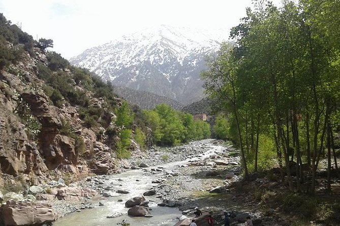Excursion to the valley of ourika atlas mountain and berber villages - Ourika Valley Time: Walking Paths and Choosing Your Own Pace