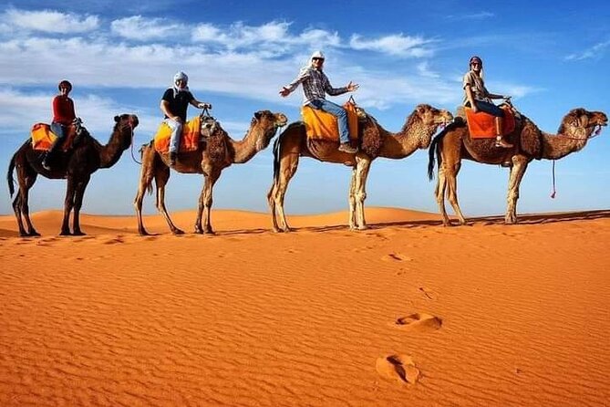 Excursions Quad Riding in Merzouga - Key highlights to look for