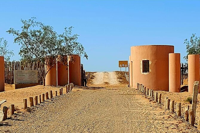 Excursions to the Souss Massa National Park - Tifnit fishing village: caves, fish souk energy, and coffee time