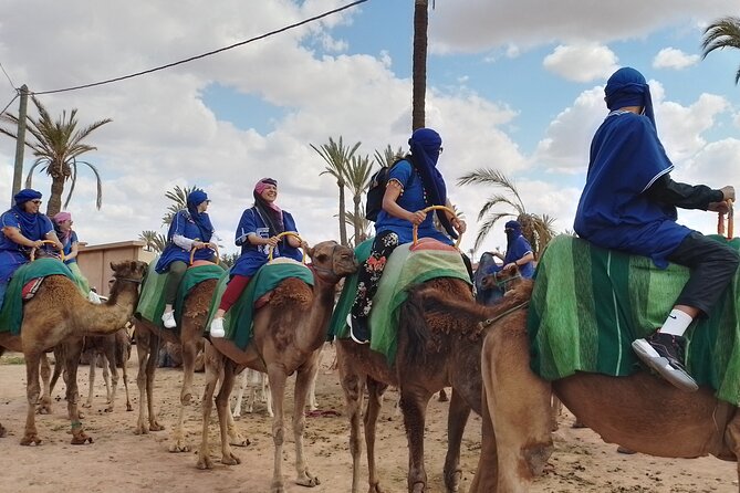 Experience Camel Ride Sunset or Anytime - Marrakech Palmeraie on Camelback: What This Trip Really Feels Like