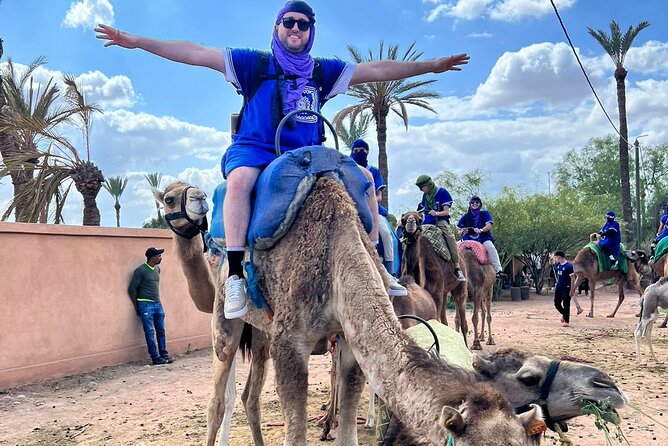 Experience Camel Ride Sunset or Anytime - Who This Tour Suits Best (and Who Should Consider Other Options)