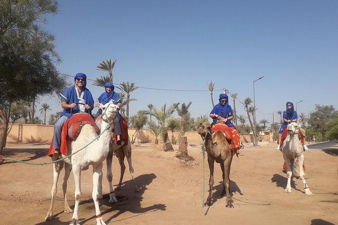 Experience Camel Ride Sunset or Anytime - Service, Staff, and Real-World Impressions That Matter