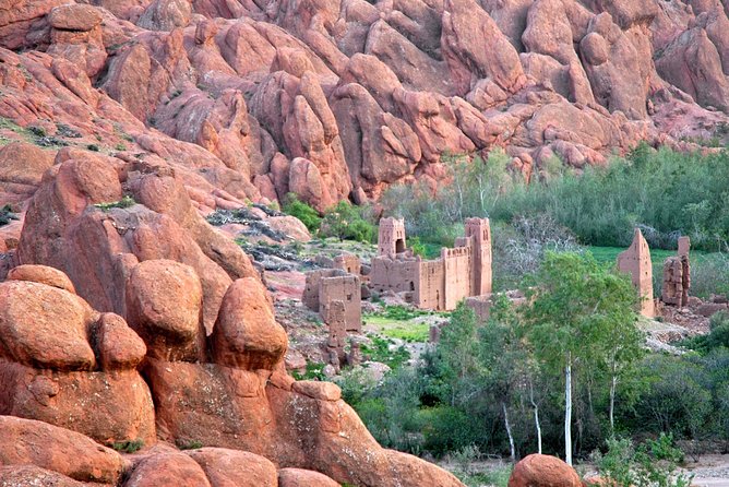 Experience Moroccan Diversity in a Week Private Tour 6 nights 7 days - Middle Atlas to Ifrane: cedars, monkeys, and that Switzerland vibe