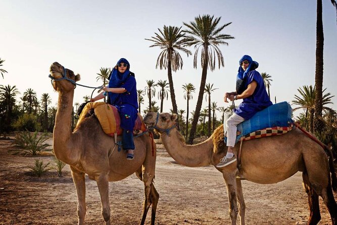 Experience the desert nomads in Marrakech! - Pickup From Your Riad and a Private Group Setup