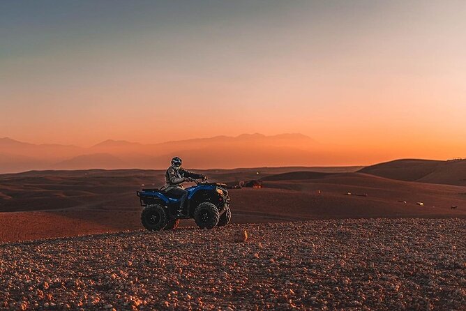 Experience the desert nomads in Marrakech! - The 1-Hour Camel Walk: Pace, Photos, and the Palmeraie Feel
