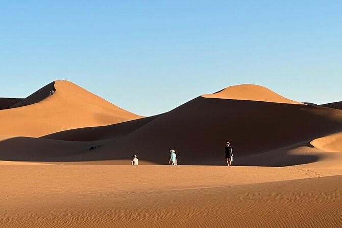 Experience the real Sahara desert with local expert in 2 days - 4x4 driving and dune surprises: how this trip handles the hard parts