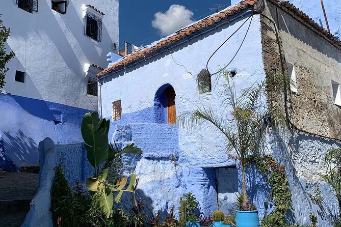 Explore chefchaouen like a local - Who should book this tour—and who might not love it