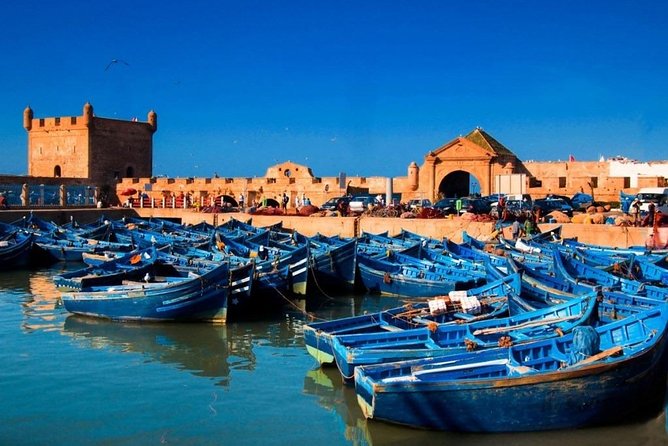Explore Essaouira on a Day Trip from Marrakech - Fish Market Stop: Choose Lunch Without Losing Your Whole Hour