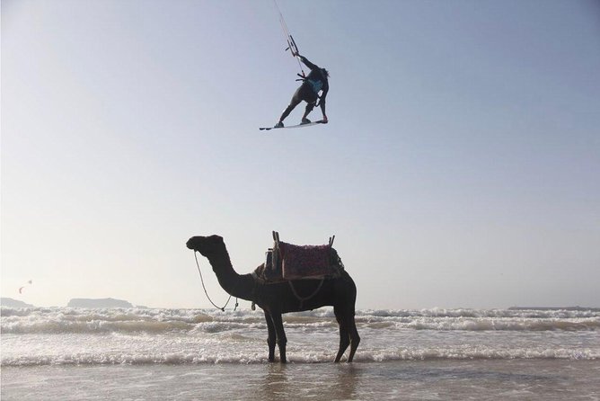 Explore Essaouira on a Day Trip from Marrakech - Price and Value: What $30.24 Covers, and What You Pay Separately