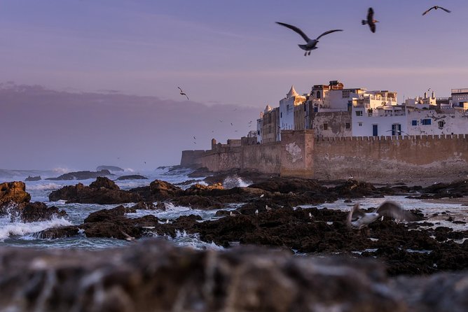 Explore Essaouira on a Day Trip from Marrakech - The Argan Oil Factory Stop: Watch the Process and Shop Smart