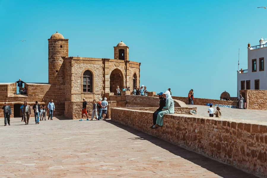 Explore Essaouira's Secrets: A Guided Tour with a Local! - Timing, walking pace, and why the private group matters