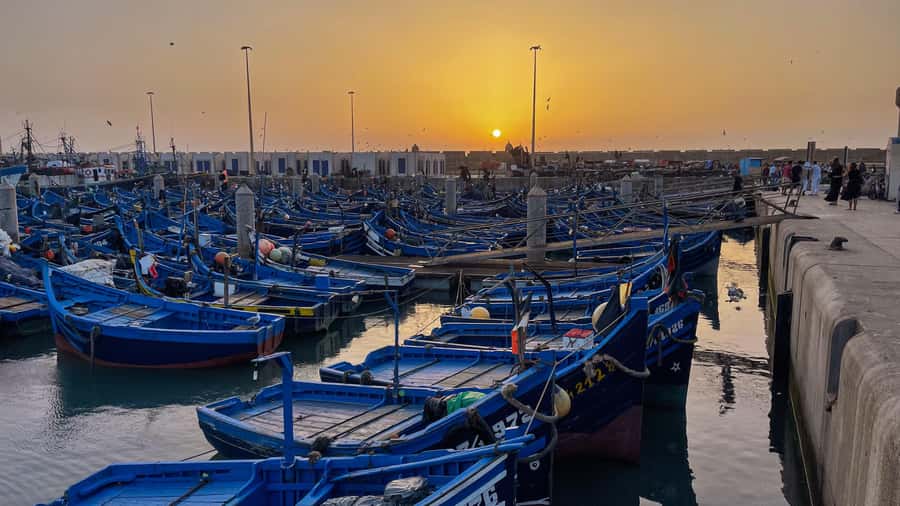 Explore Essaouira's Secrets: A Guided Tour with a Local! - Price and value: is $35 fair for this kind of day?