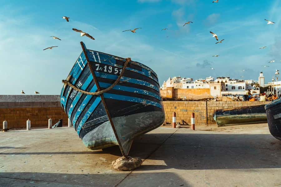 Explore Essaouira's Secrets: A Guided Tour with a Local! - Who this Essaouira tour suits best