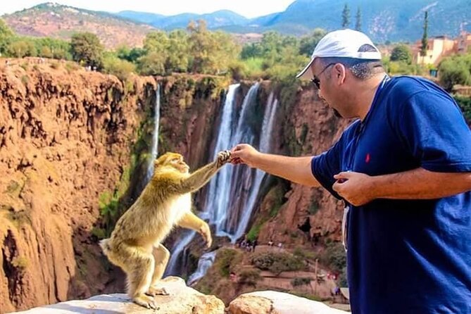 Explore Ouzoud waterfalls Marrakech Guided Hike & Boat Experience - Monkeys near the falls: fun moments with one simple rule
