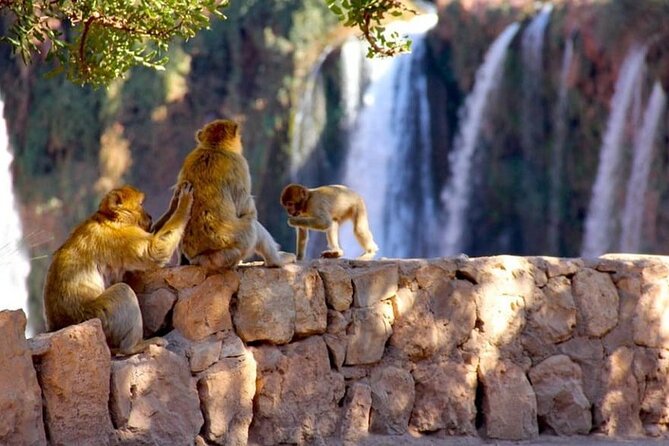Explore Ouzoud waterfalls Marrakech Guided Hike & Boat Experience - Timing that keeps you from feeling rushed