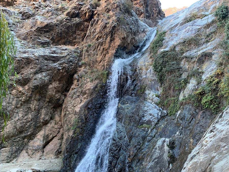 Explore the Atlas Mountains & waterfalls - Half Day Tour - Key Highlights You’ll Actually Care About