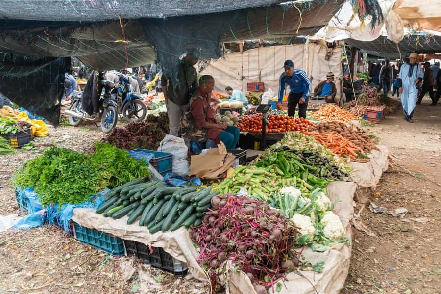 Explore the Atlas Mountains & waterfalls - Half Day Tour - Pickup, Return, and How to Time Your Own Marrakech Day