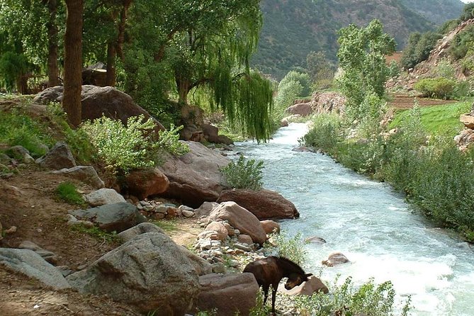 Explore The Best Of Ourika Valley: Departure From Marrakech. - Price and value: what about $23 per person makes sense?