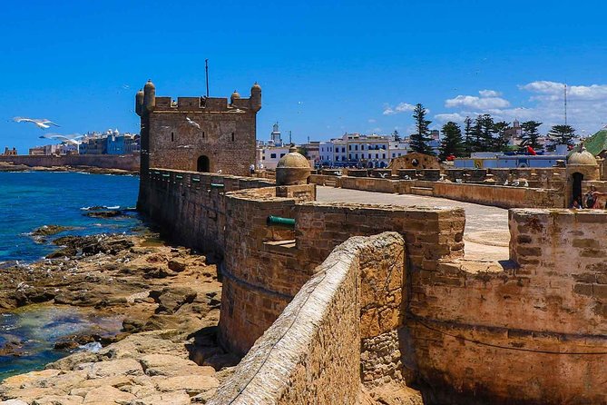 Explore The Essaouira Mogador city Guided Day Trip with Pickup - Price and value: why this costs $46.74 and where you’ll spend extra