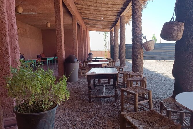 Explore the Marrakech Palm Desert in Buggy - Safety in the desert: what’s provided and what you should check