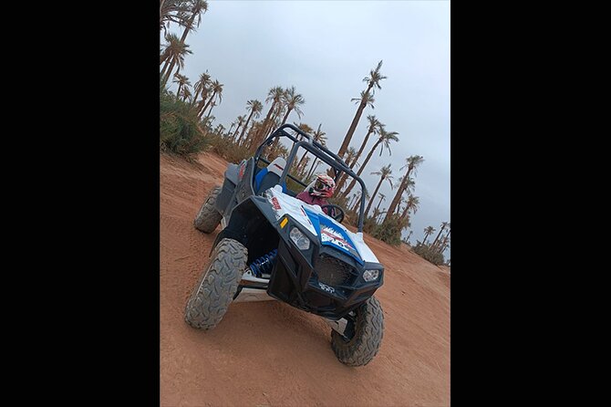 Explore the Marrakech Palm Desert in Buggy - Where you meet and how timing works