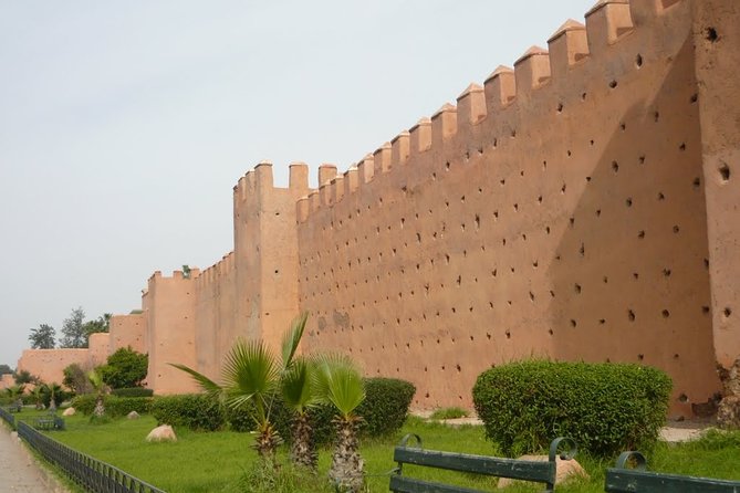 Exploring Marrakesh in half-day sightseeing tour - Jardin Majorelle: tickets, color, and the one-rule timing trap