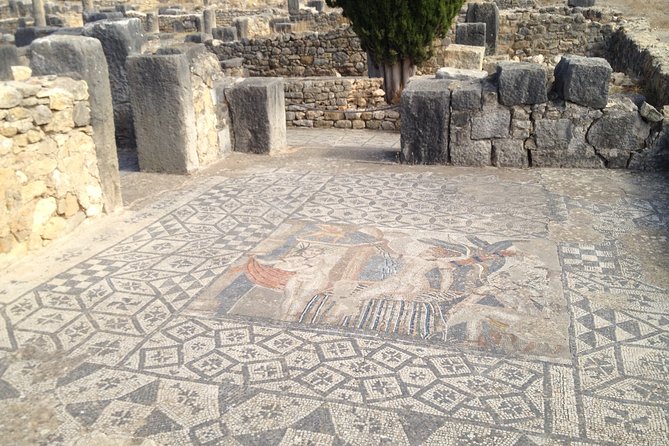 Exploring Tangier: Highlights and Hidden Gems - How the Transport Changes the Whole Day