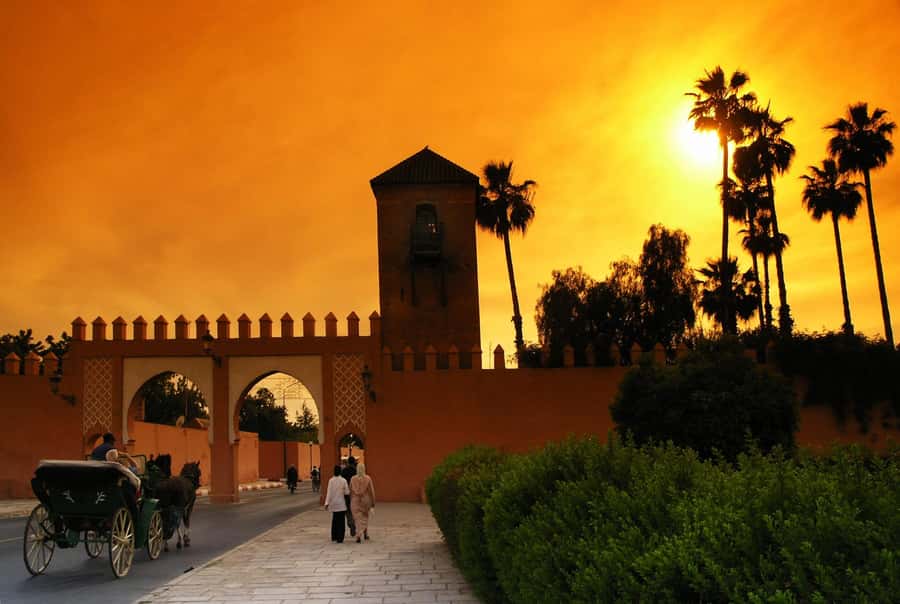 Fantasia 1001 Nights: Dinner + Show from Marrakech - After dinner: belly dancers, acrobats, and music filling the space