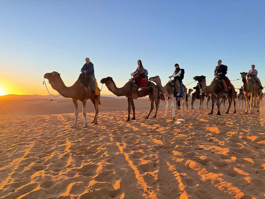 Fes : 3 Day Tour with 2 nights in desert merzouga - Key highlights you’ll care about