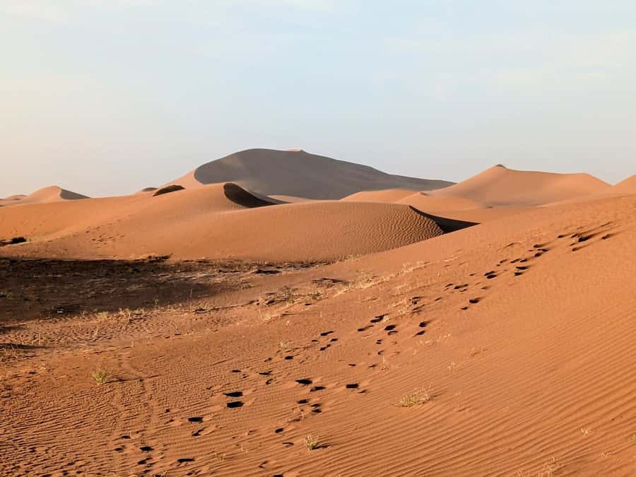 Fes : 3 Day Tour with 2 nights in desert merzouga - Meknès break: a breather before the desert push