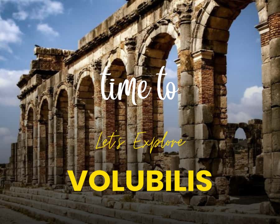 Fes: Day Trip to Meknes Volubilis and Moulay Idriss PRIVATE - Volubilis: Roman ruins, surviving stone, and the Arch of Caracalla