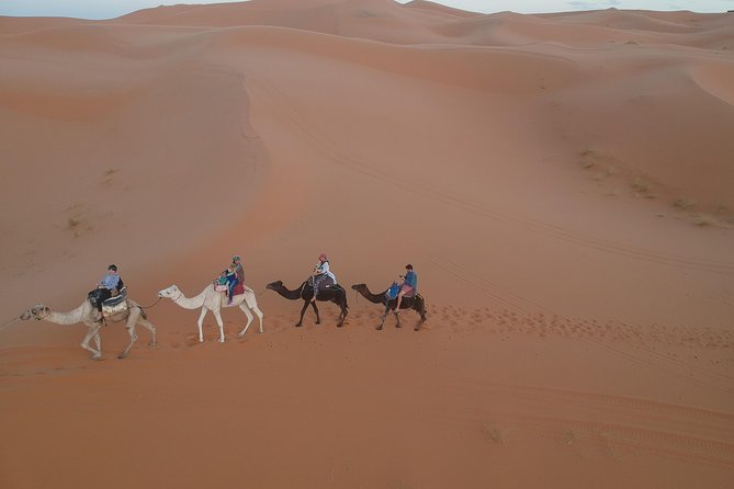 Fes desert tour 2 days - Fez to Merzouga in 2 days: what this trip is really for
