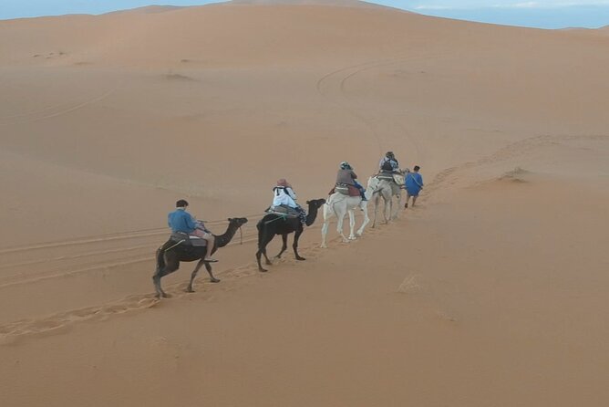 Fes desert tour 3 days - Who Should Book This Fez–Merzouga–Marrakech Style Tour