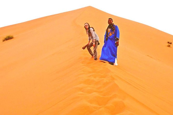 Fes desert tours 2 days - Day 1: Early departure from Fez through Ifran and Azrou’s cedar forest