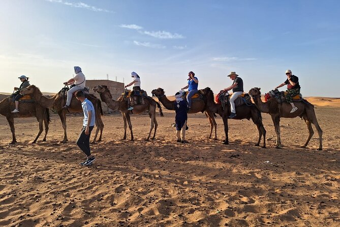 Fes desert tours 2 days - Day 2: Erg Chebbi sunrise, return camel ride, and the road back to Fez