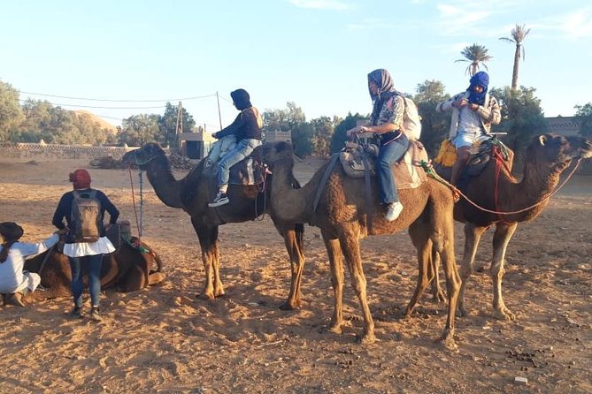 Fes desert tours 2 days - Money notes: what’s included, what to budget, and why $234.75 can make sense