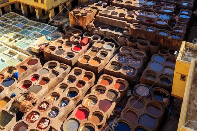 Fes/Fez walking Tour with a group - Price and value: why $11.69 feels like a smart deal