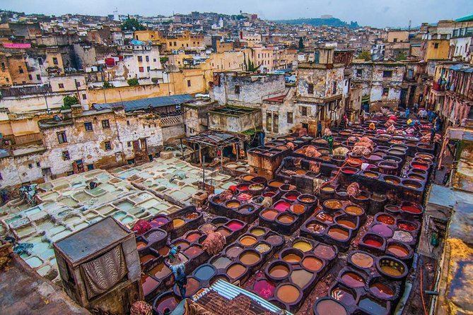 Fes Medina 5-hours tours - Languages, pacing, and how the guide shapes your day