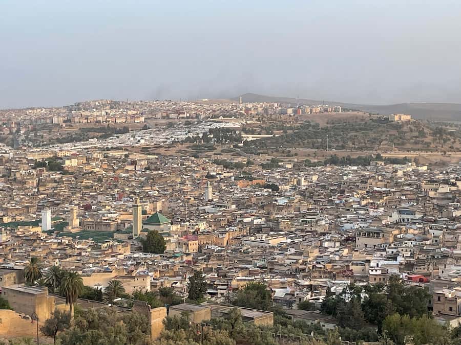 Fes: Medina Guided Tour with Local - Chaouwara Tannery: A Must-See Stop With Real-World Considerations