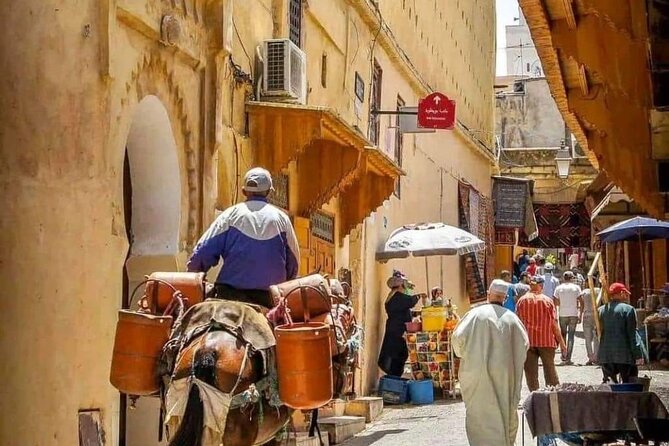Fes Medina Walking Tour - Stop 2: Chouara Tanneries and the Oldest Leather-Working Experience