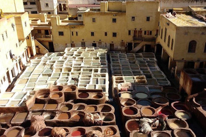 Fes private cultural and historical guided tours - Price and What You Truly Get for $46.99